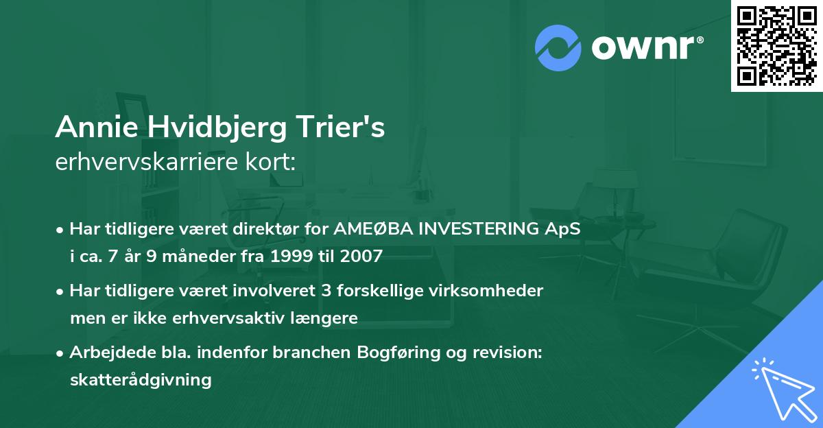 Annie Hvidbjerg Trier's erhvervskarriere kort