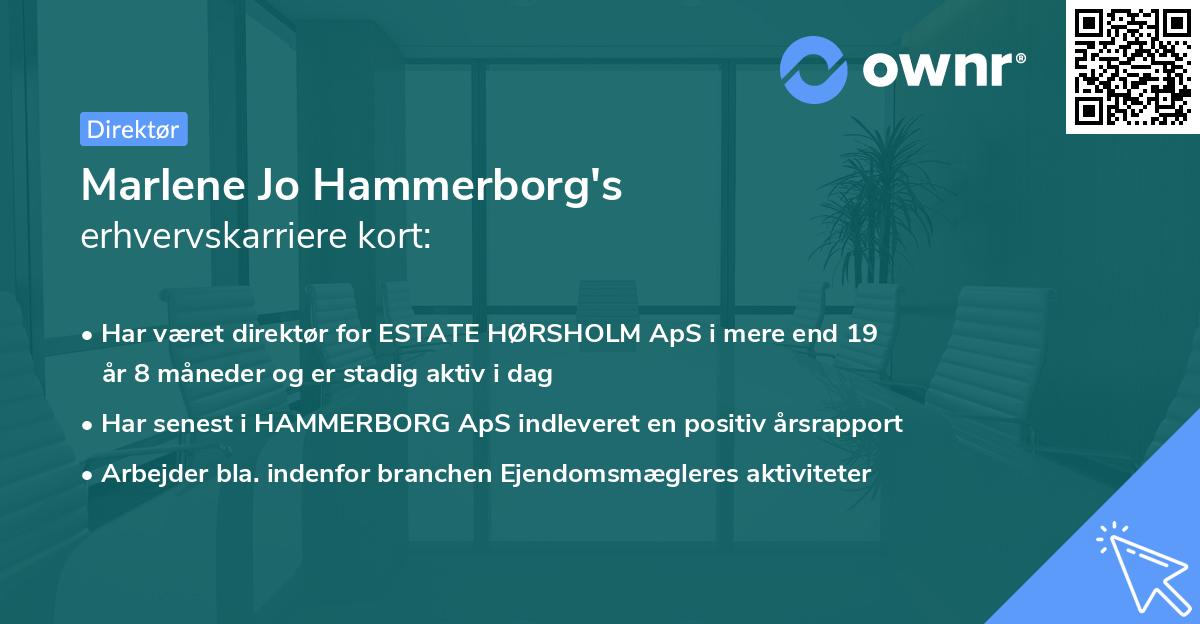 Marlene Jo Hammerborg's erhvervskarriere kort