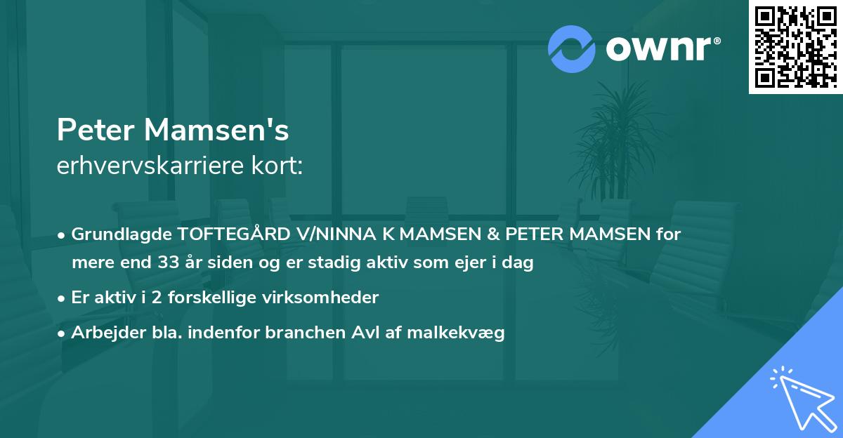 Peter Mamsen's erhvervskarriere kort
