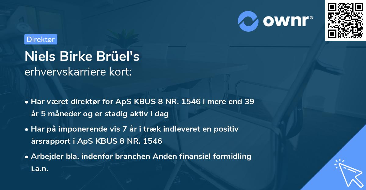 Niels Birke Brüel's erhvervskarriere kort