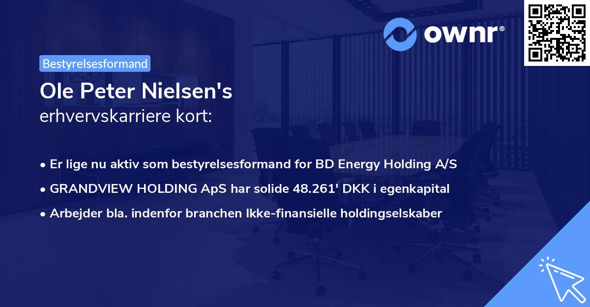Ole Peter Nielsen's erhvervskarriere kort
