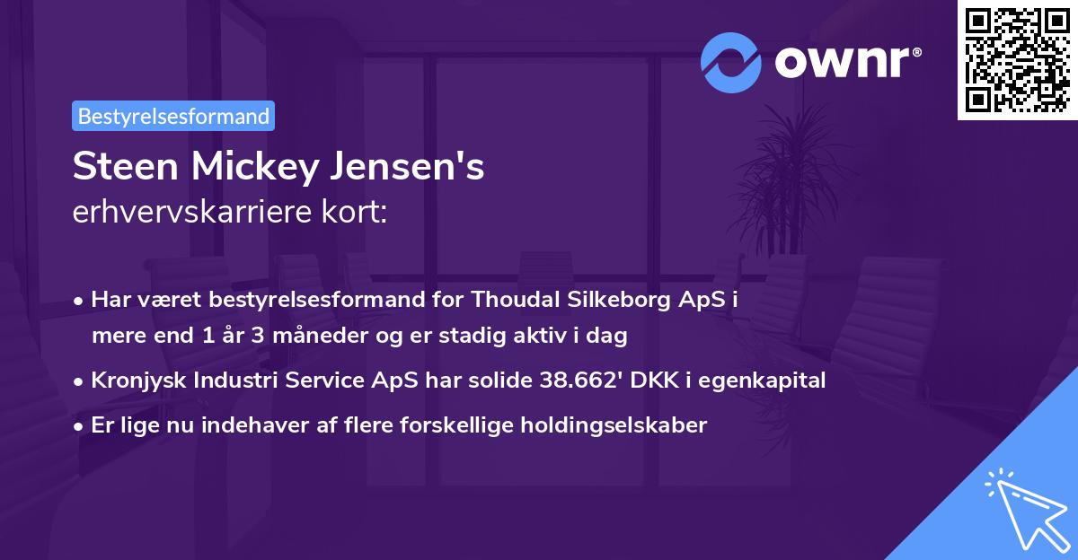 Steen Mickey Jensen's erhvervskarriere kort