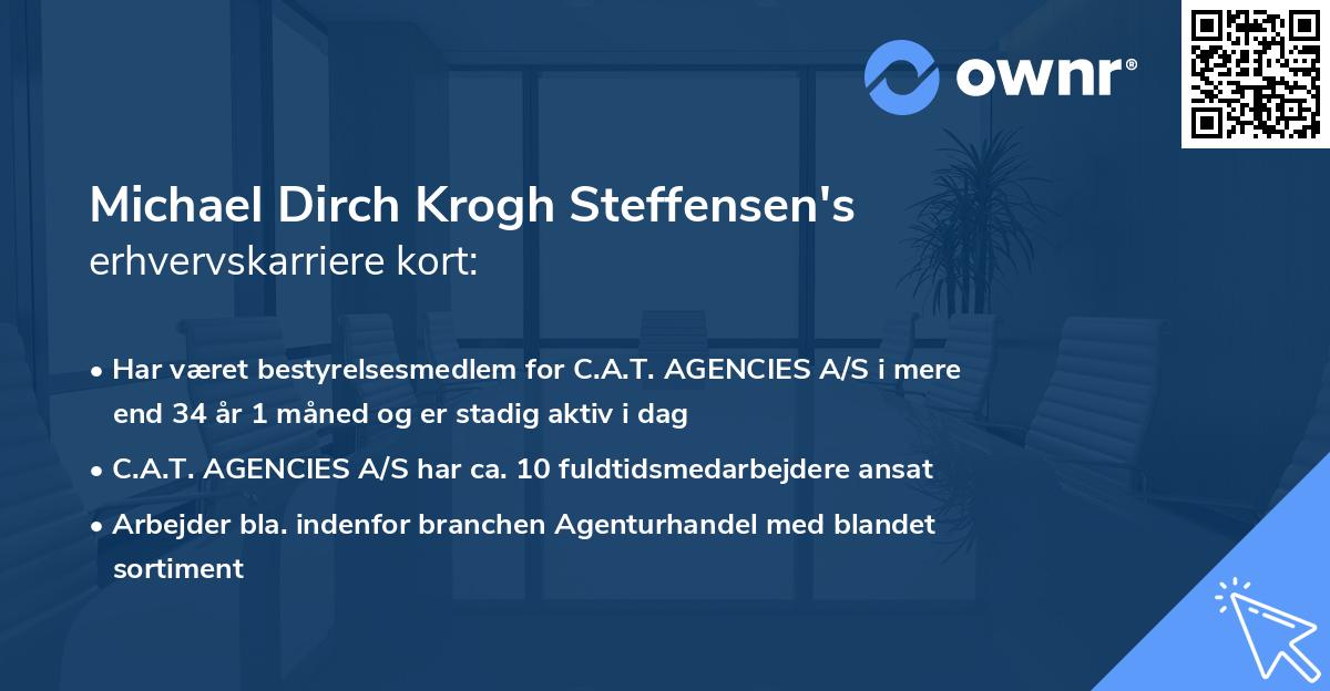 Michael Dirch Krogh Steffensen's erhvervskarriere kort