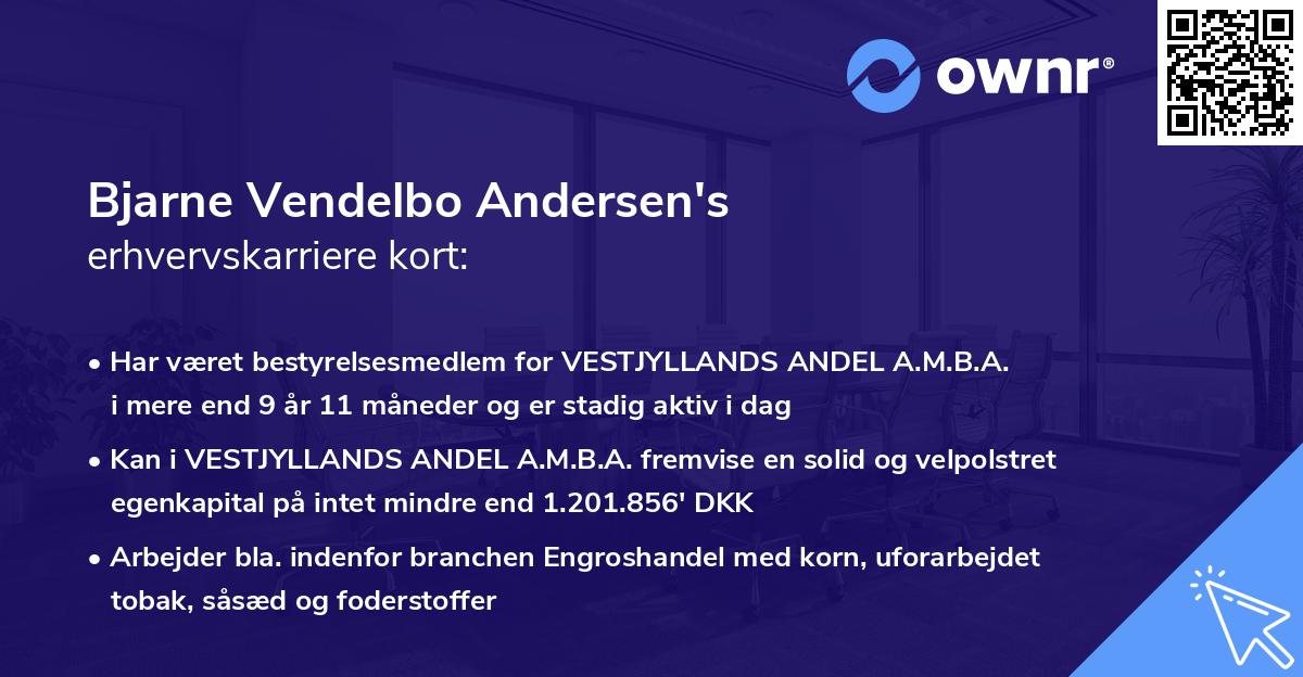 Bjarne Vendelbo Andersen's erhvervskarriere kort