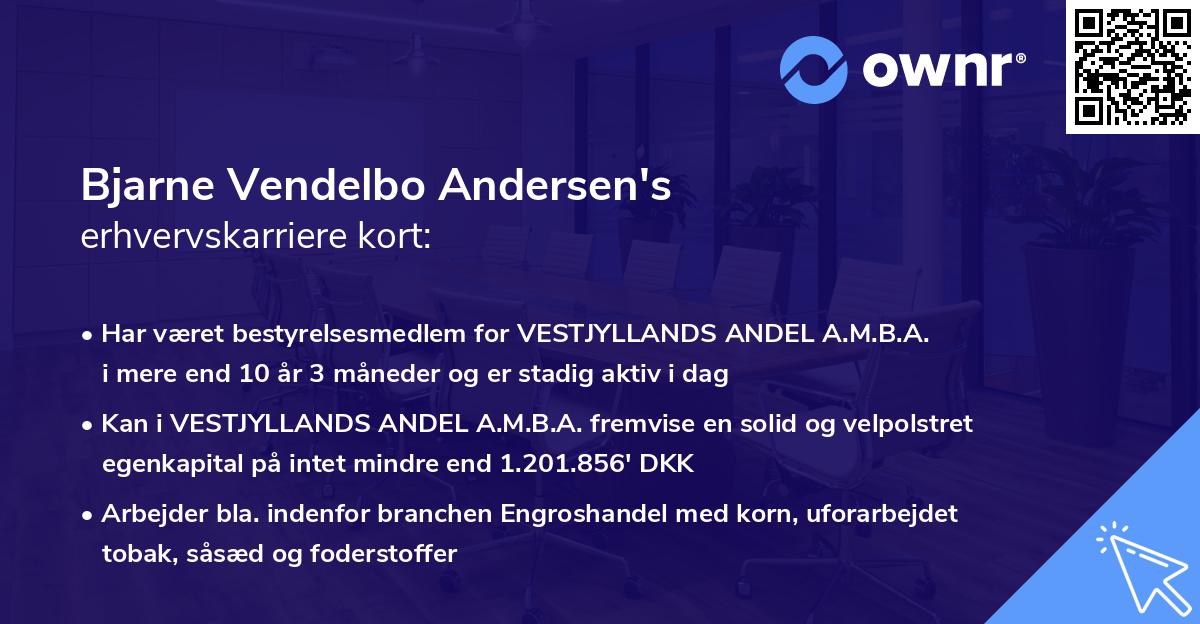 Bjarne Vendelbo Andersen's erhvervskarriere kort