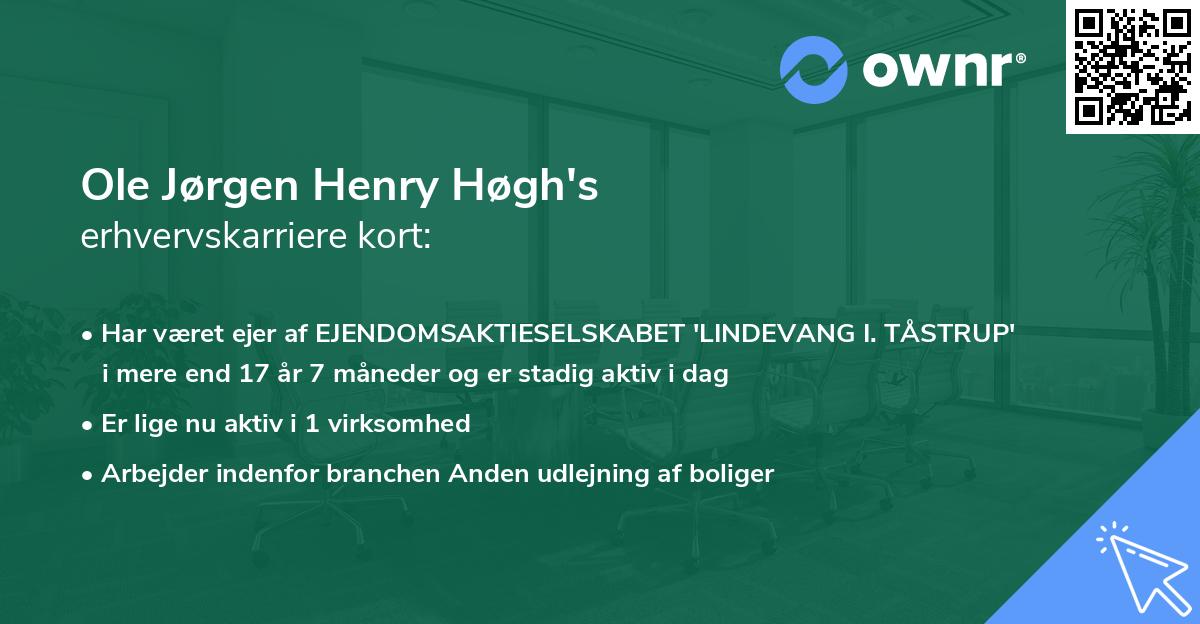 Ole Jørgen Henry Høgh's erhvervskarriere kort