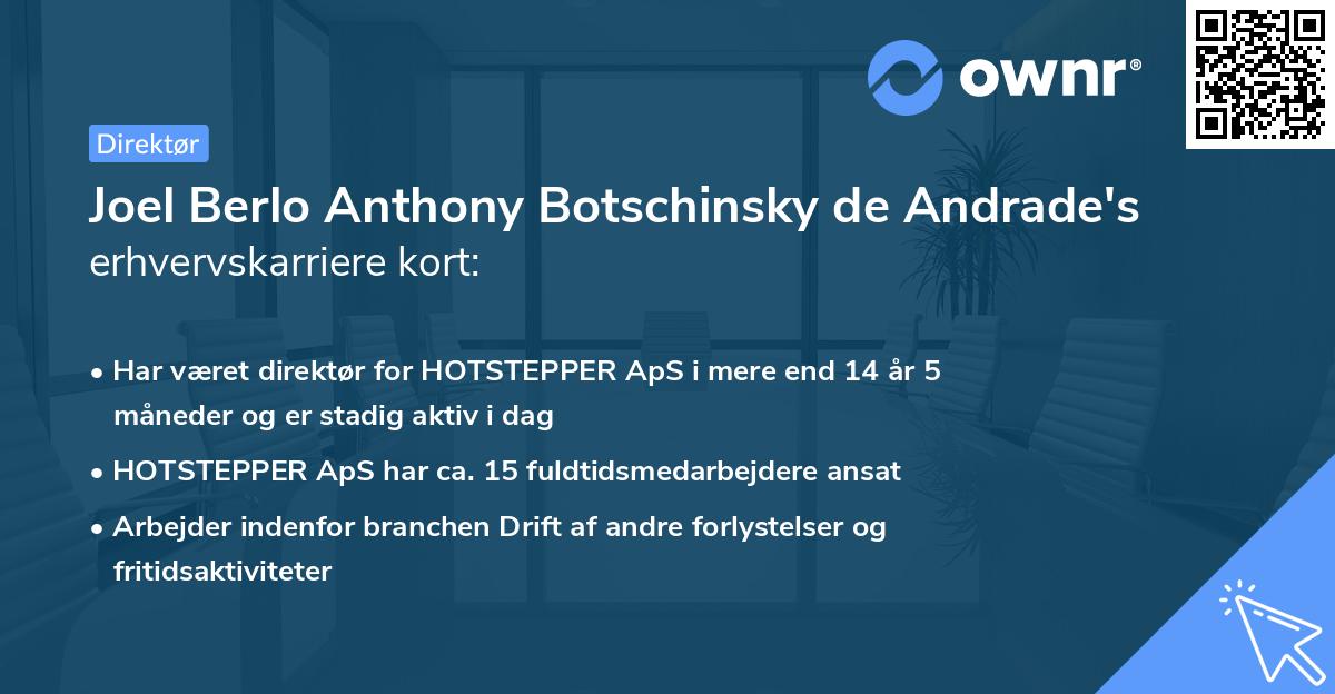 Joel Berlo Anthony Botschinsky de Andrade's erhvervskarriere kort