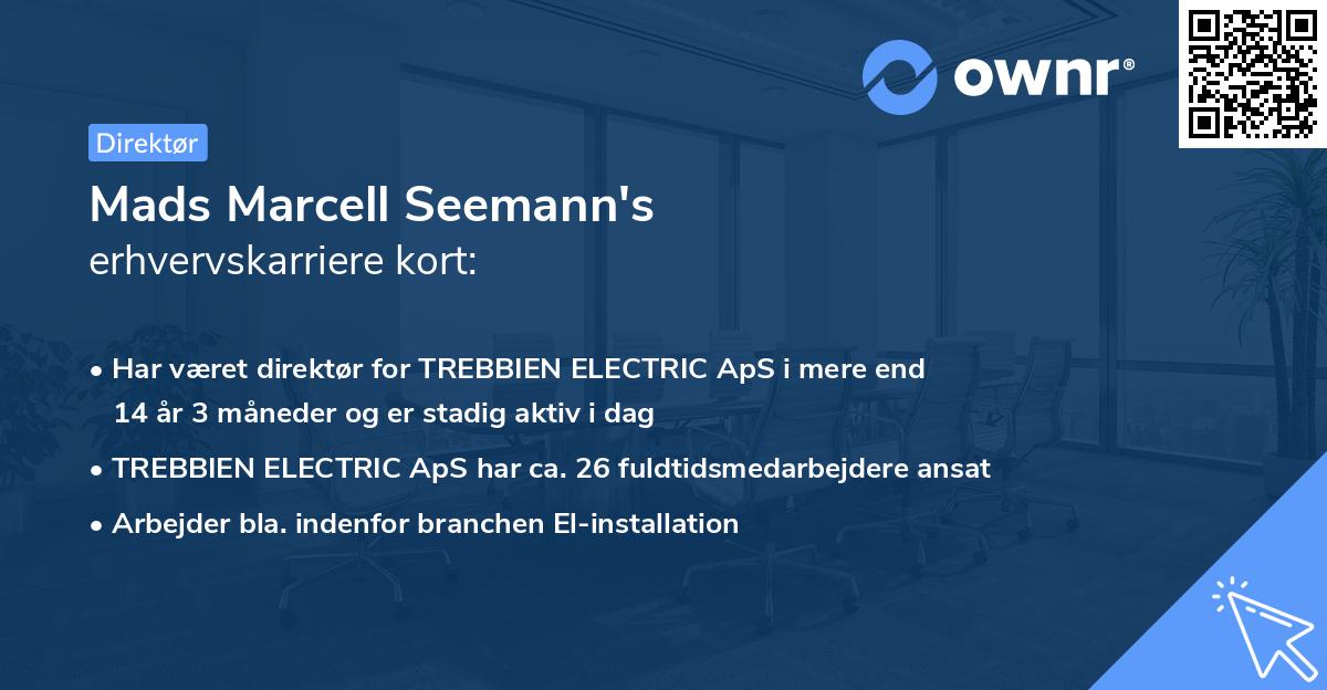 Mads Marcell Seemann's erhvervskarriere kort