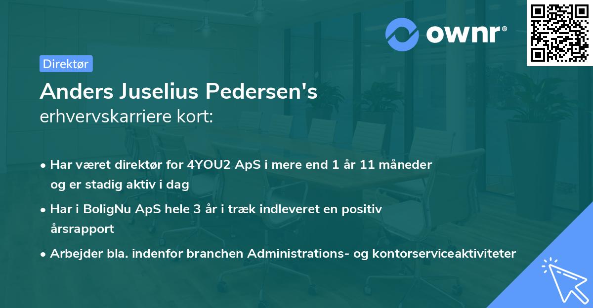 Anders Juselius Pedersen's erhvervskarriere kort