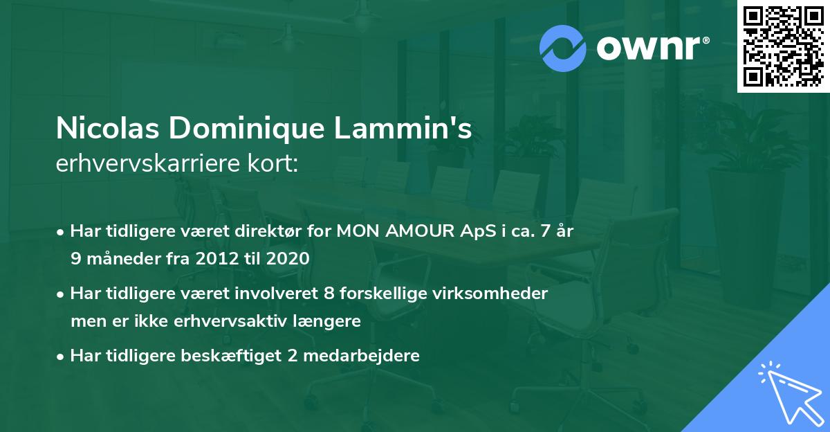 Nicolas Dominique Lammin's erhvervskarriere kort