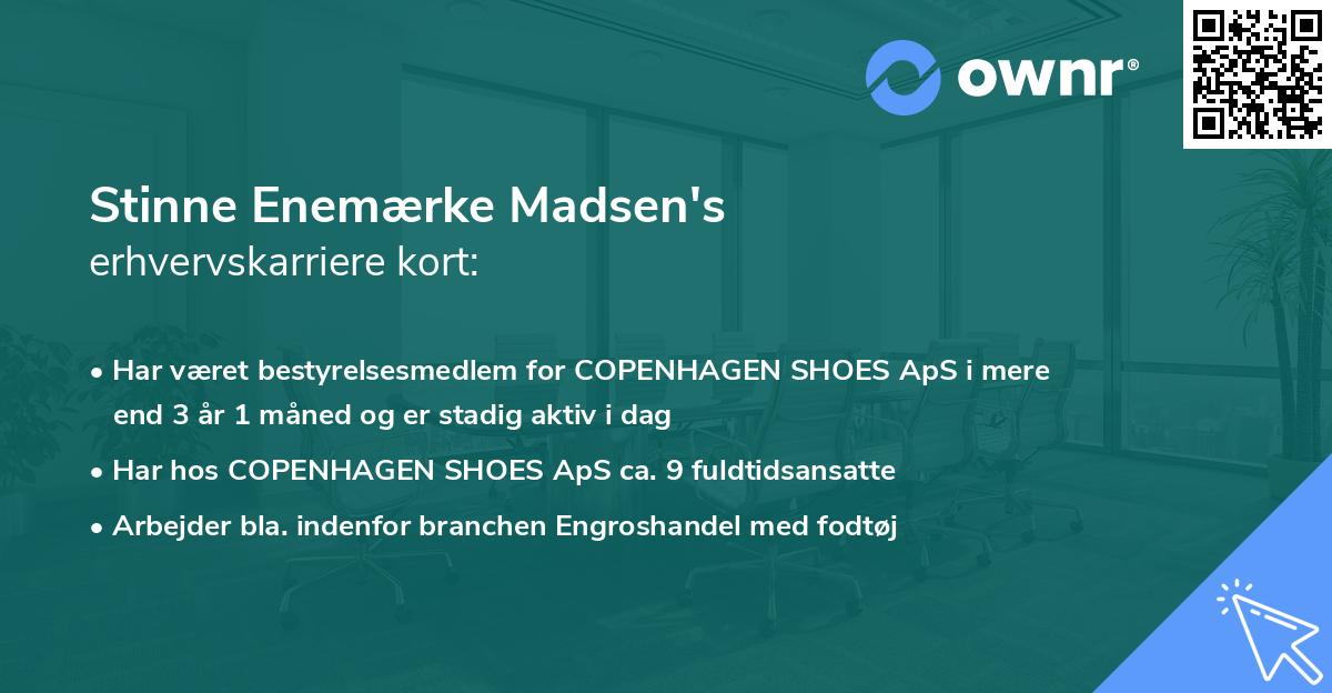 Stinne Enemærke Madsen's erhvervskarriere kort