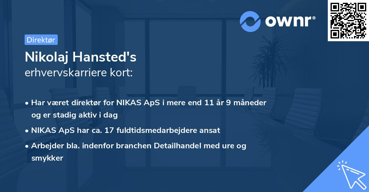 Nikolaj Hansted's erhvervskarriere kort