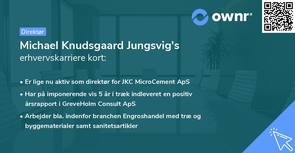 Michael Knudsgaard Jungsvig's erhvervskarriere kort