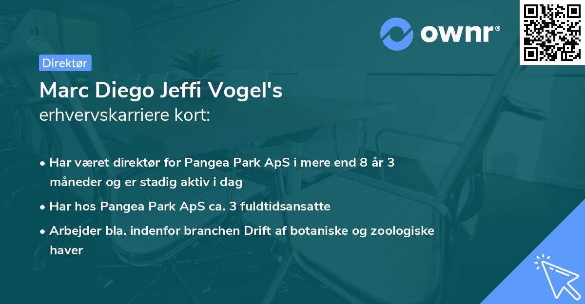 Marc Diego Jeffi Vogel's erhvervskarriere kort