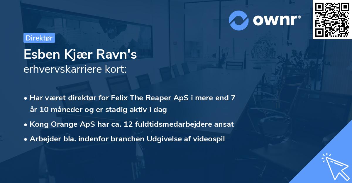 Esben Kjær Ravn's erhvervskarriere kort