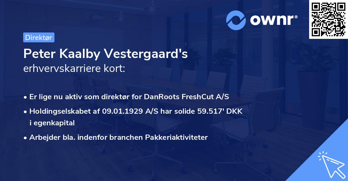 Peter Kaalby Vestergaard's erhvervskarriere kort