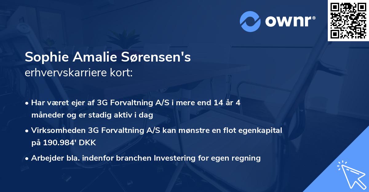 Sophie Amalie Sørensen's erhvervskarriere kort