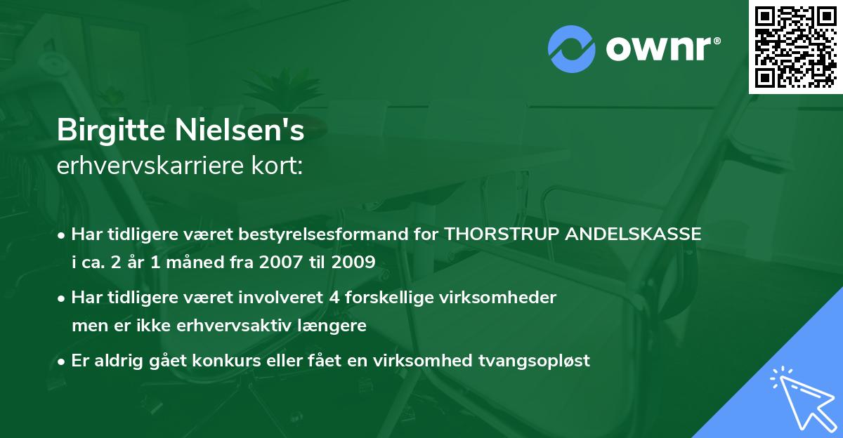 Birgitte Nielsen's erhvervskarriere kort