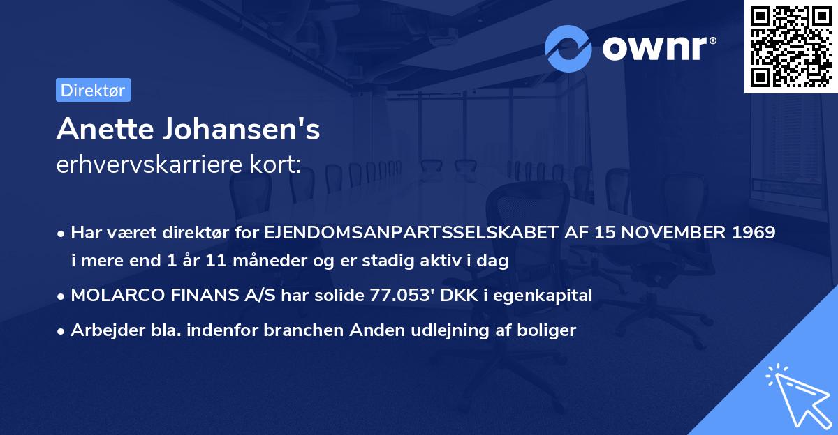 Anette Johansen's erhvervskarriere kort