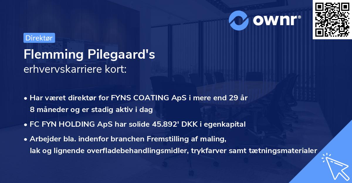 Flemming Pilegaard's erhvervskarriere kort