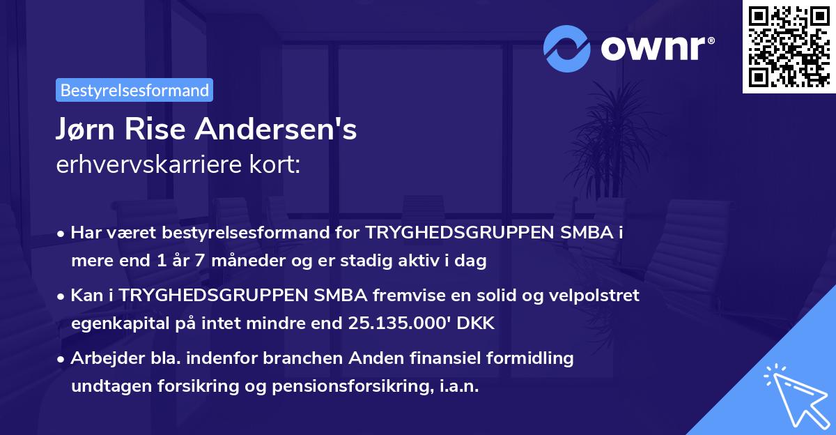 Jørn Rise Andersen's erhvervskarriere kort