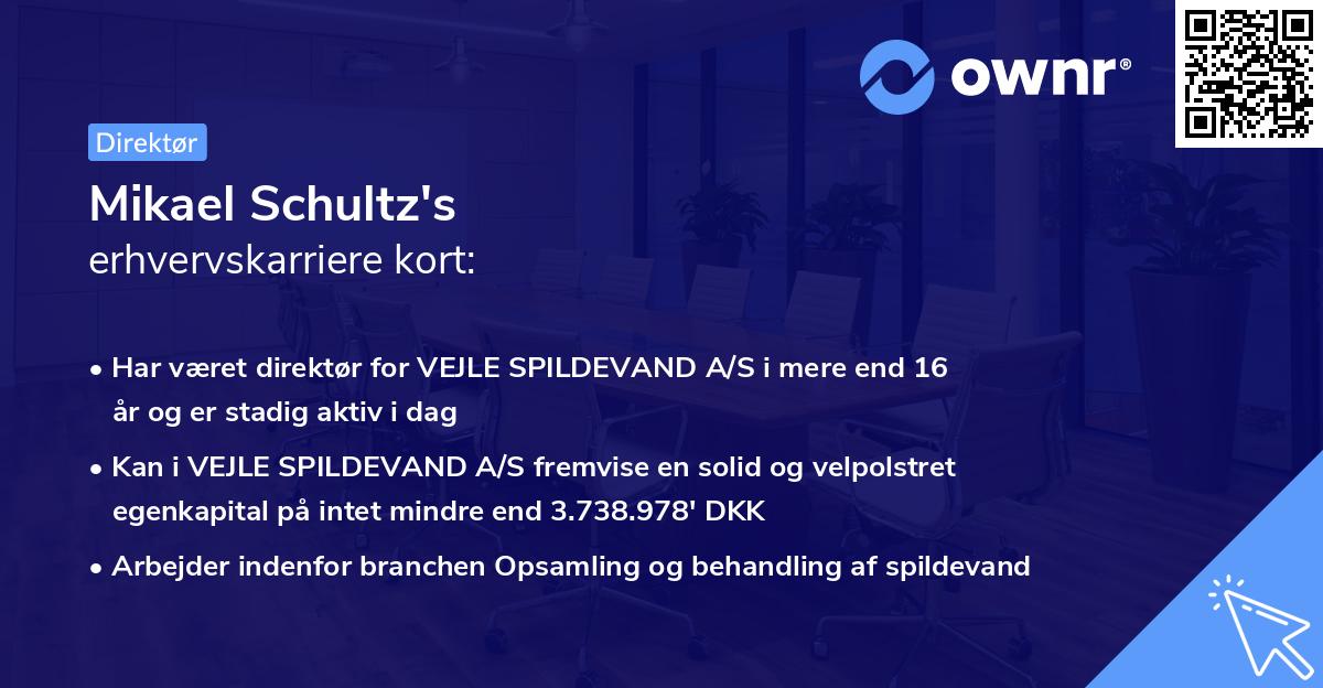 Mikael Schultz's erhvervskarriere kort
