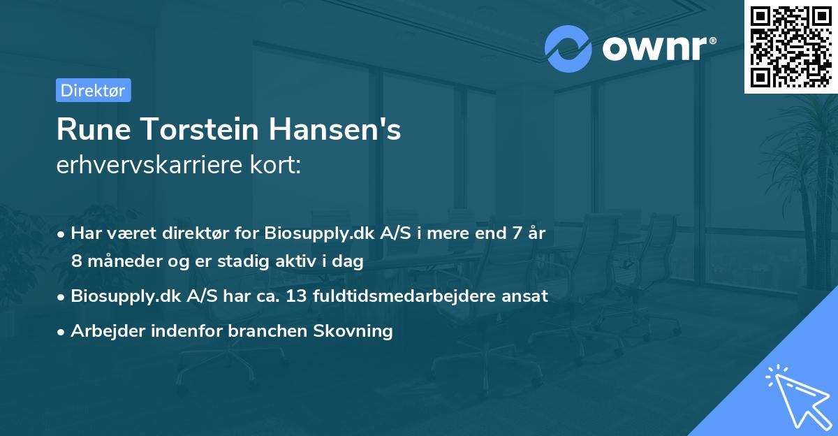 Rune Torstein Hansen's erhvervskarriere kort