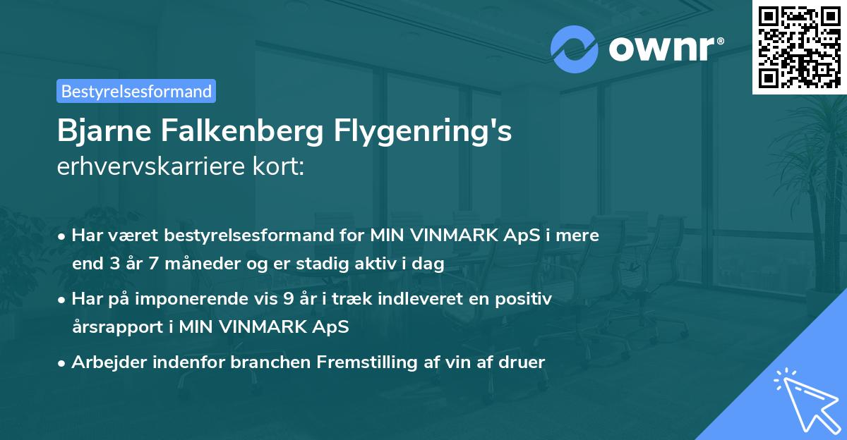 Bjarne Falkenberg Flygenring's erhvervskarriere kort