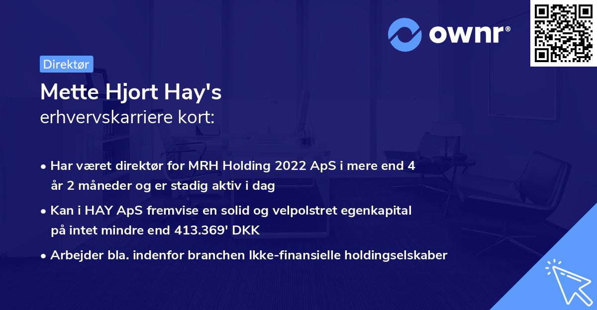 Mette Hjort Hay's erhvervskarriere kort