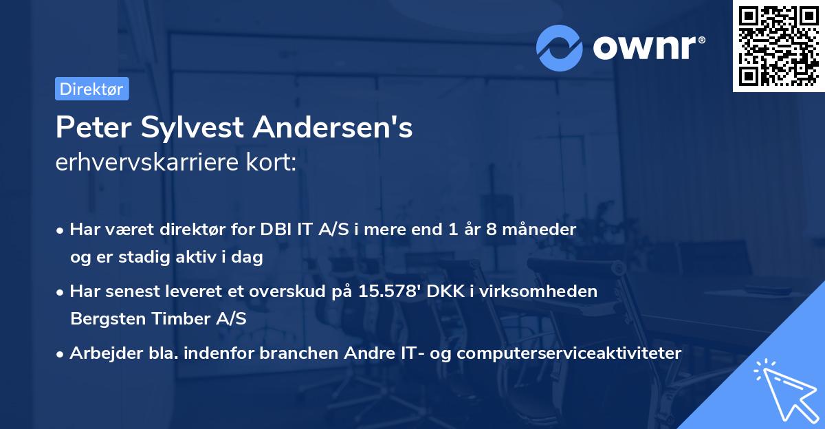 Peter Sylvest Andersen's erhvervskarriere kort