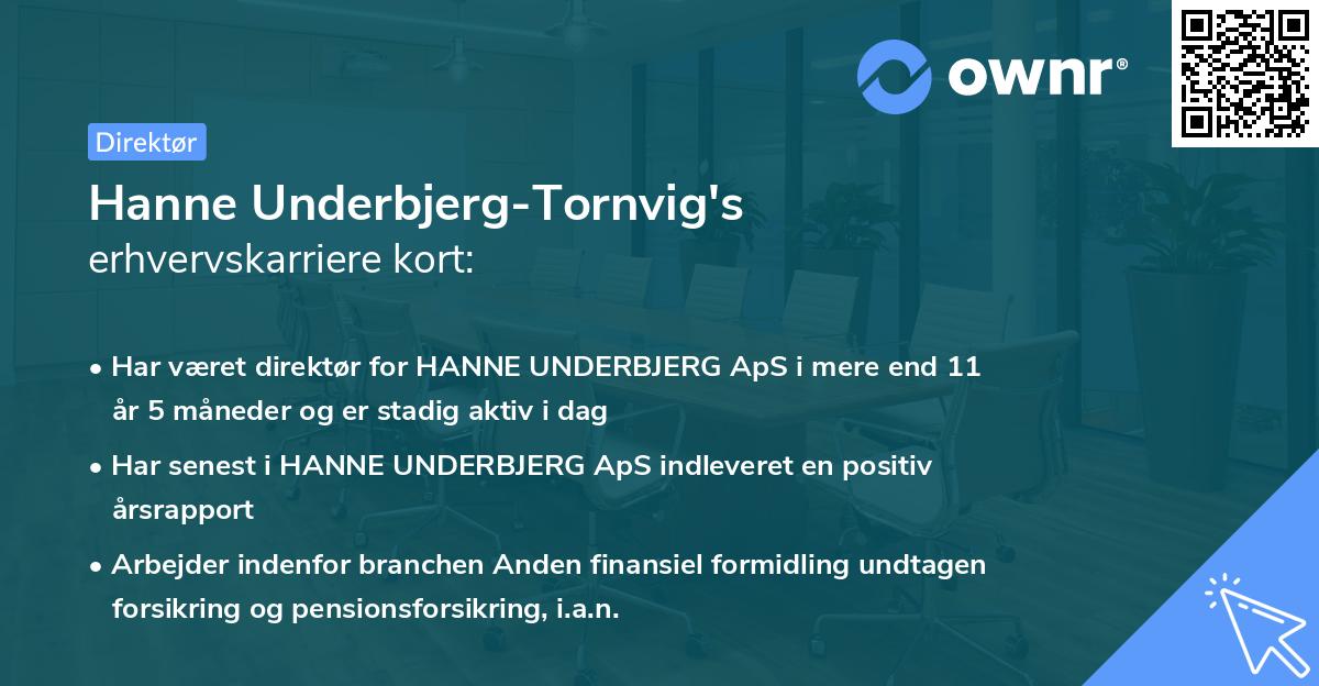 Hanne Underbjerg-Tornvig's erhvervskarriere kort