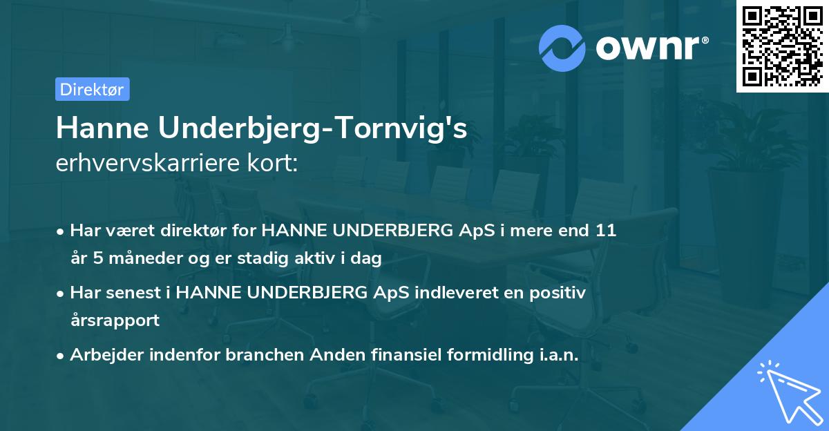 Hanne Underbjerg-Tornvig's erhvervskarriere kort