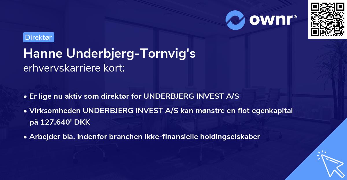 Hanne Underbjerg-Tornvig's erhvervskarriere kort
