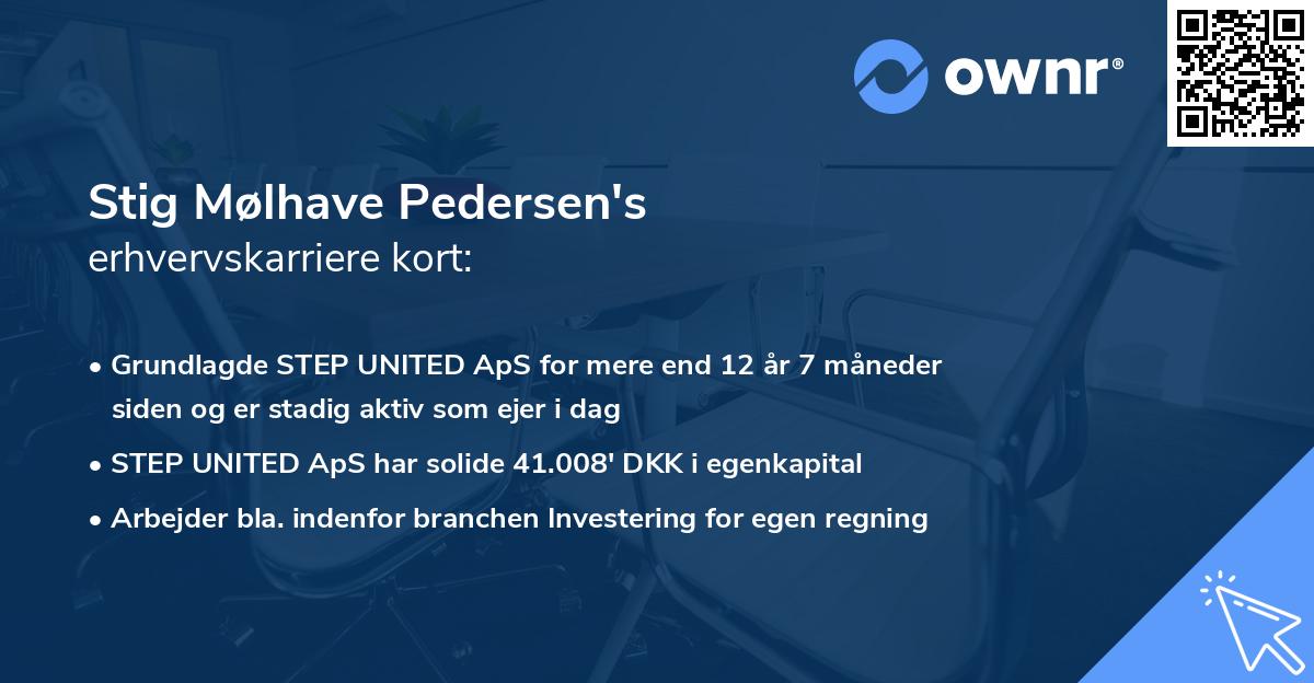 Stig Mølhave Pedersen's erhvervskarriere kort