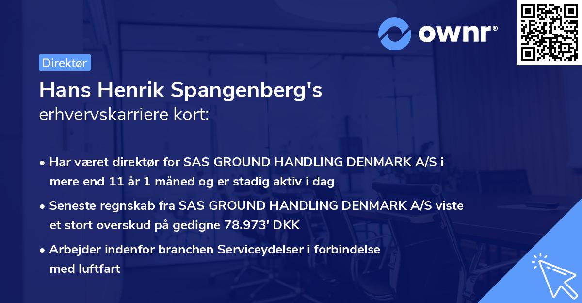 Hans Henrik Spangenberg's erhvervskarriere kort