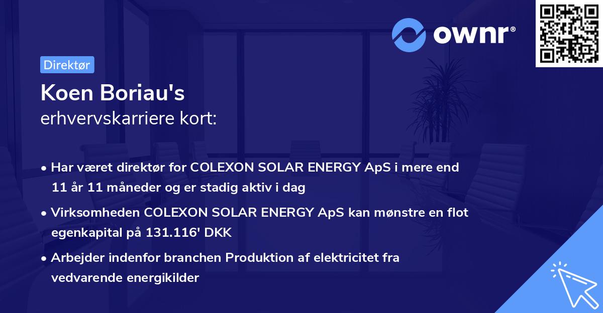 Koen Boriau's erhvervskarriere kort
