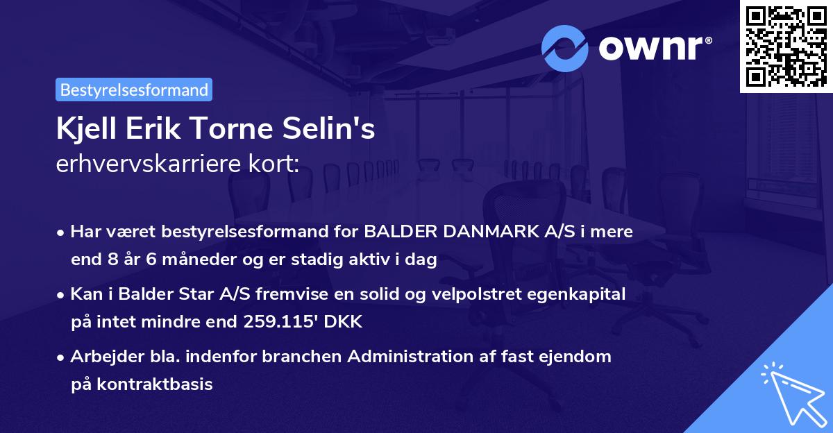 Kjell Erik Torne Selin's erhvervskarriere kort