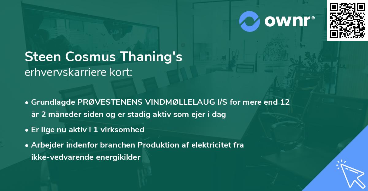 Steen Cosmus Thaning's erhvervskarriere kort