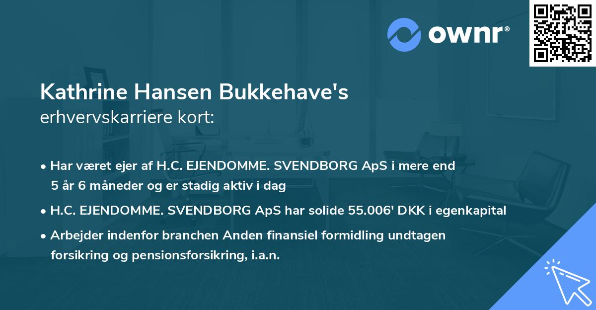 Kathrine Hansen Bukkehave's erhvervskarriere kort