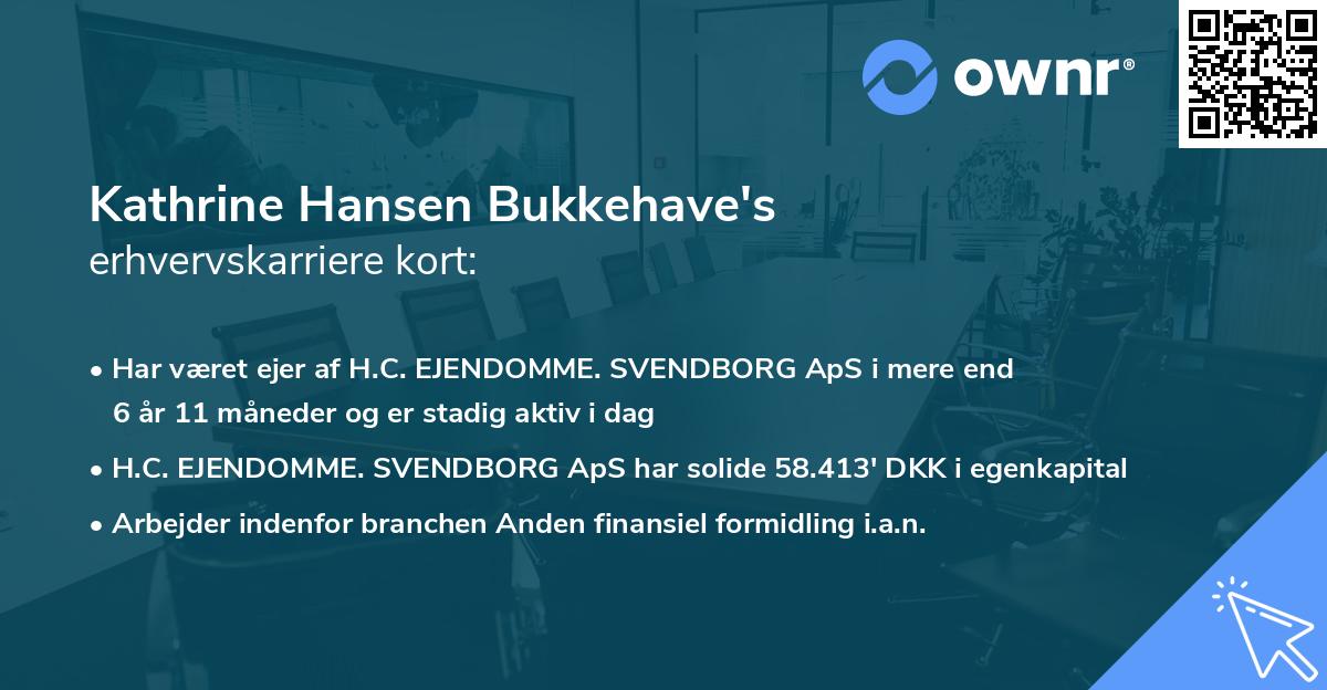 Kathrine Hansen Bukkehave's erhvervskarriere kort