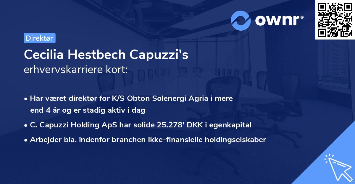 Cecilia Hestbech Capuzzi's erhvervskarriere kort