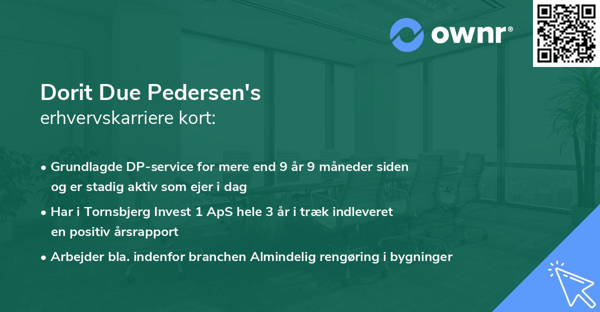 Dorit Due Pedersen's erhvervskarriere kort