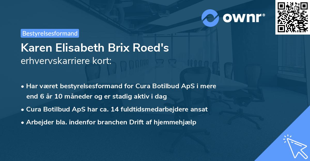 Karen Elisabeth Brix Roed's erhvervskarriere kort