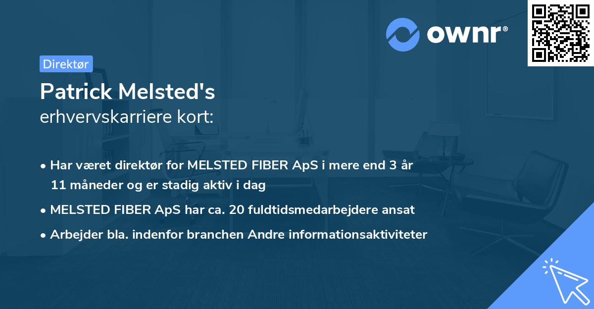 Patrick Melsted's erhvervskarriere kort