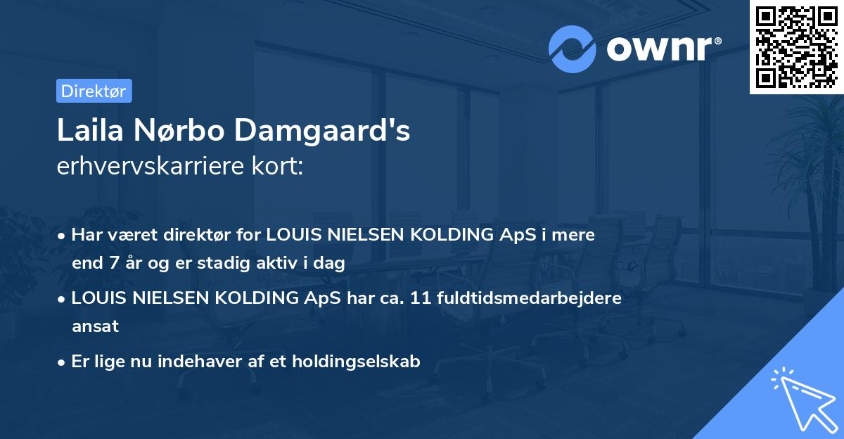 Laila Nørbo Damgaard's erhvervskarriere kort