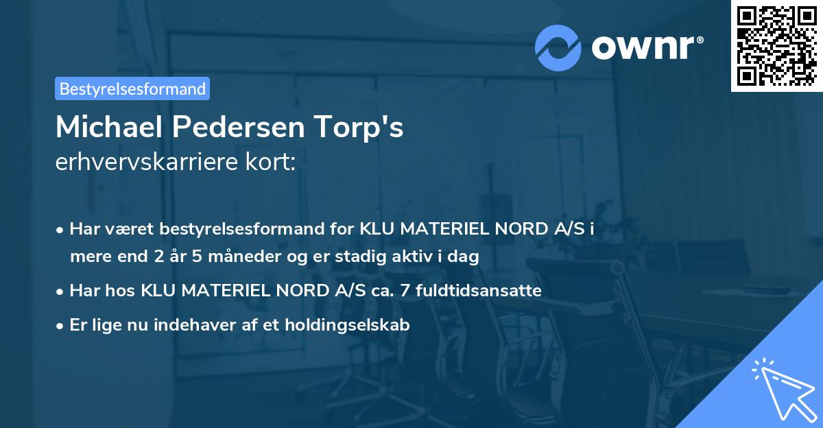 Michael Pedersen Torp's erhvervskarriere kort