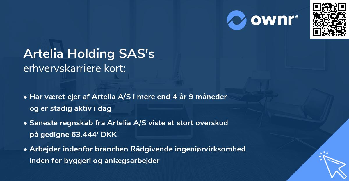 Artelia Holding SAS's erhvervskarriere kort