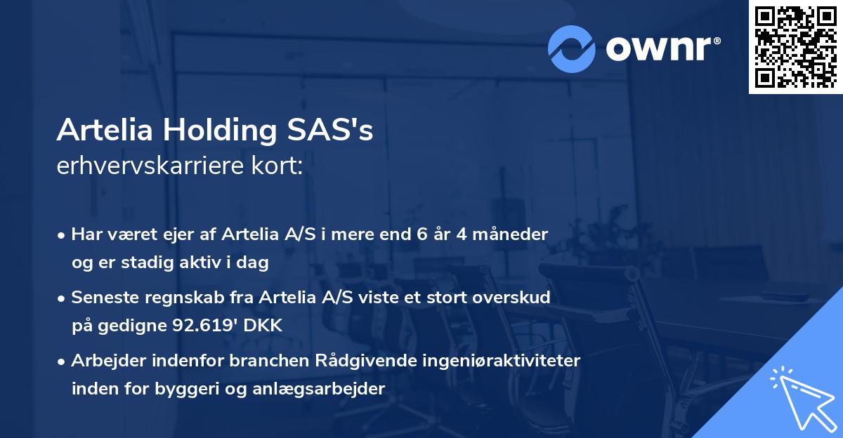 Artelia Holding SAS's erhvervskarriere kort