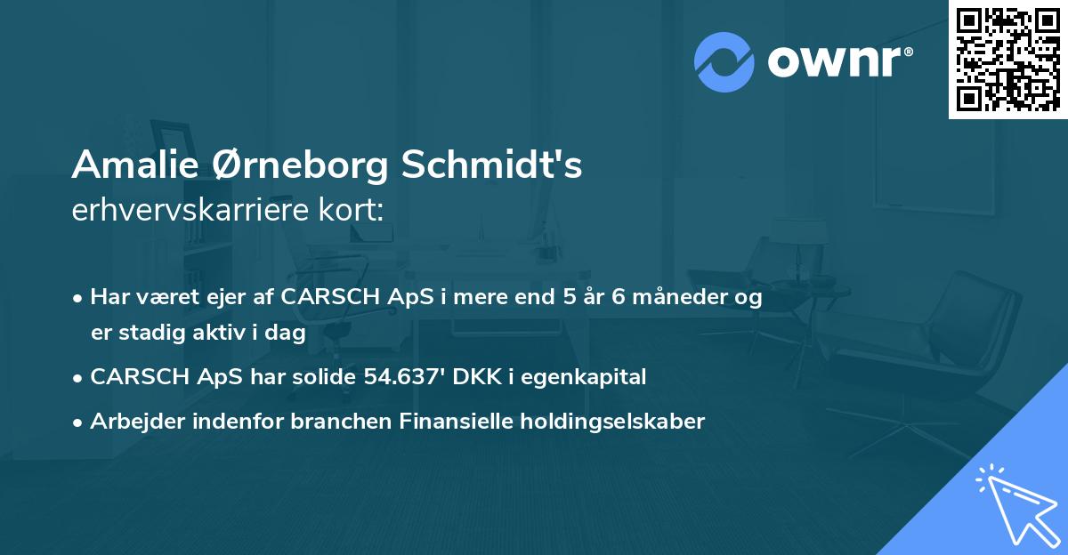 Amalie Ørneborg Schmidt's erhvervskarriere kort