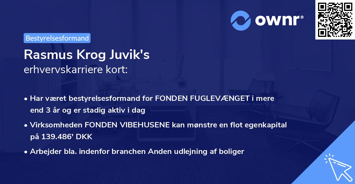 Rasmus Krog Juvik's erhvervskarriere kort